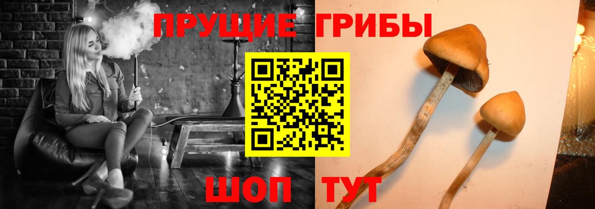 Псилоцибиновые грибы ЛСД  Галлюциногенные грибы Psilocybine cubensis  Жуковский  Вход с VPN 
